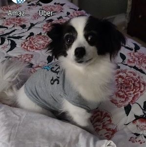 Meet your Posher, Pam